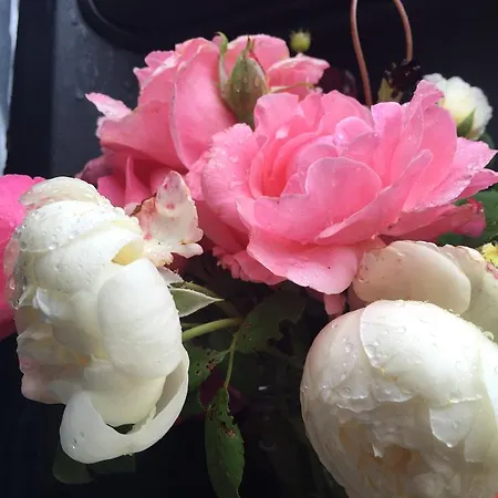 Maison Du Guit بيت ضيافة Viella (Gers)